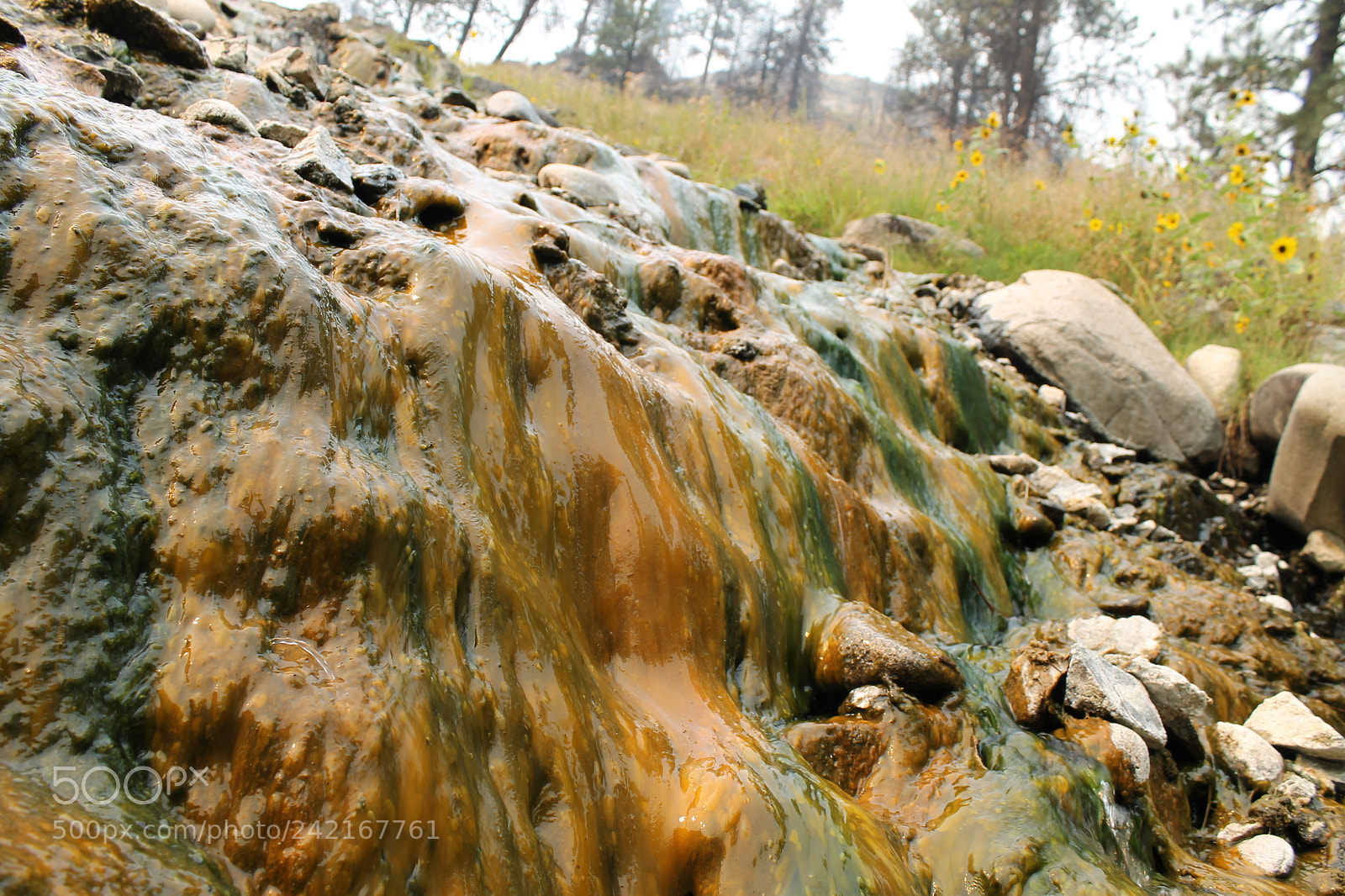 Canon EOS 1100D (EOS Rebel T3 / EOS Kiss X50) sample photo. Slippery slopes photography