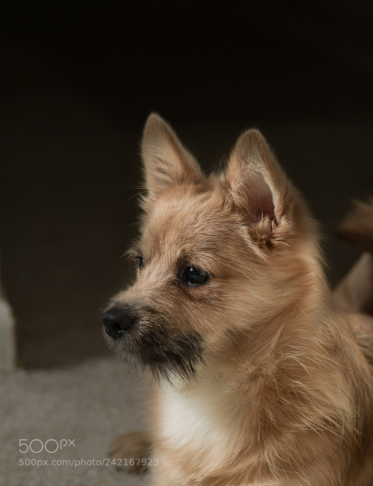 Nikon D500 sample photo. Had to repost after photography