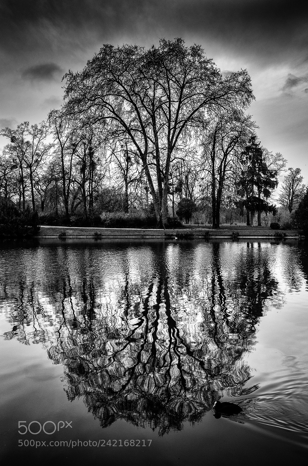 Pentax K-5 sample photo. Reflets d'hiver... photography