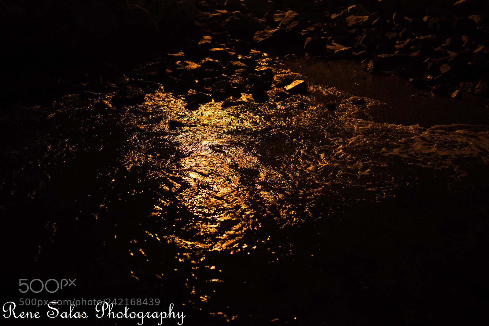 Nikon D810 sample photo. On4 photography