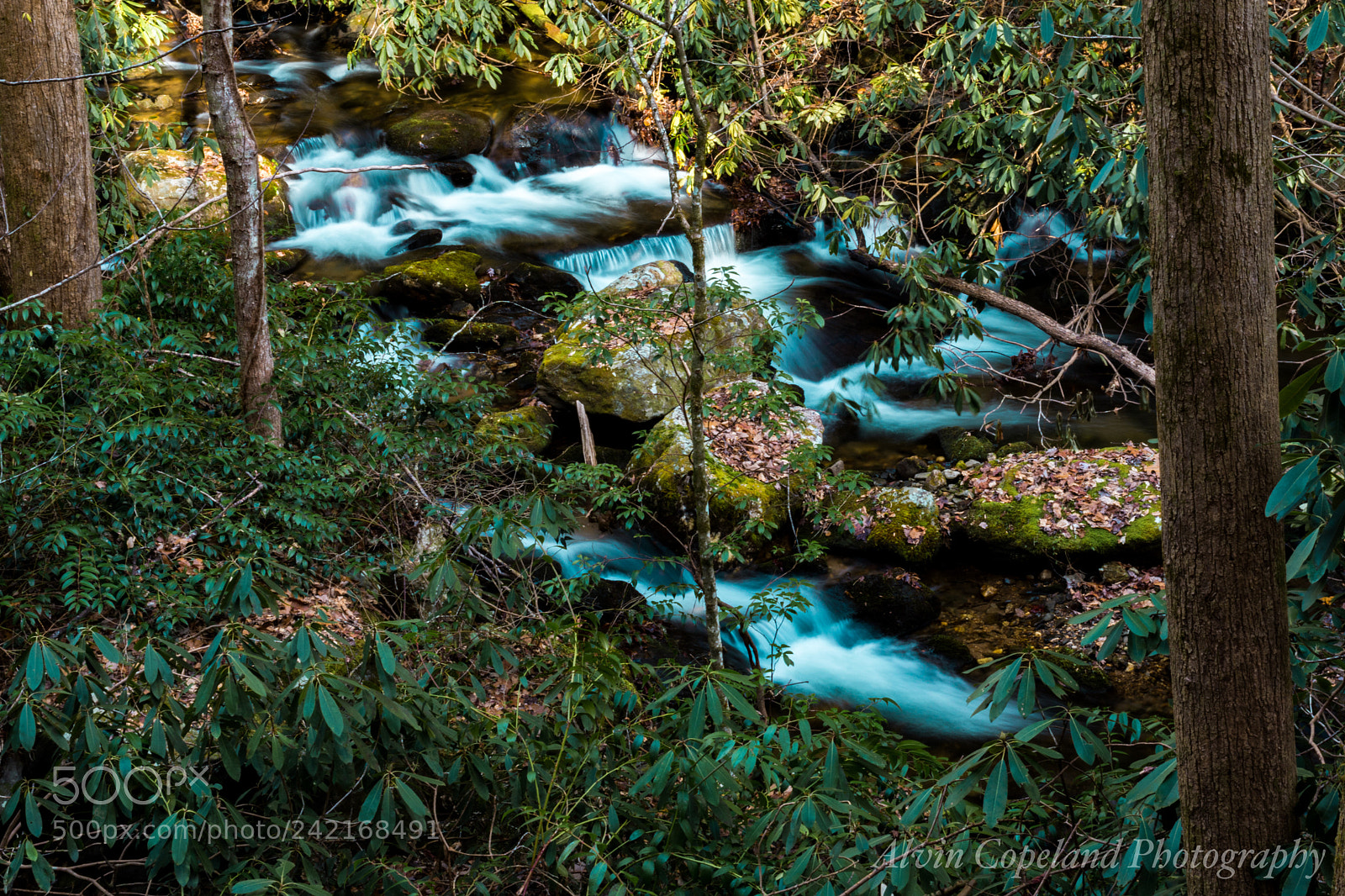 Nikon D7200 sample photo. Downstream photography