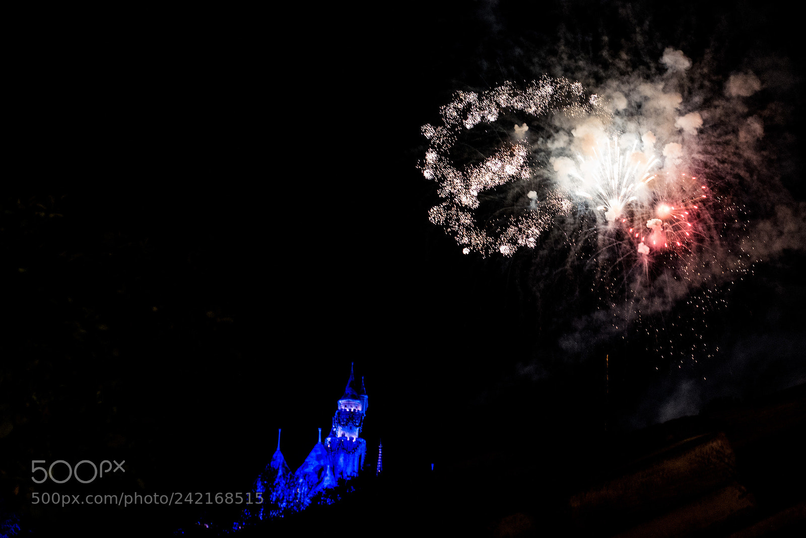 Nikon D810 sample photo. Fireworks1 photography