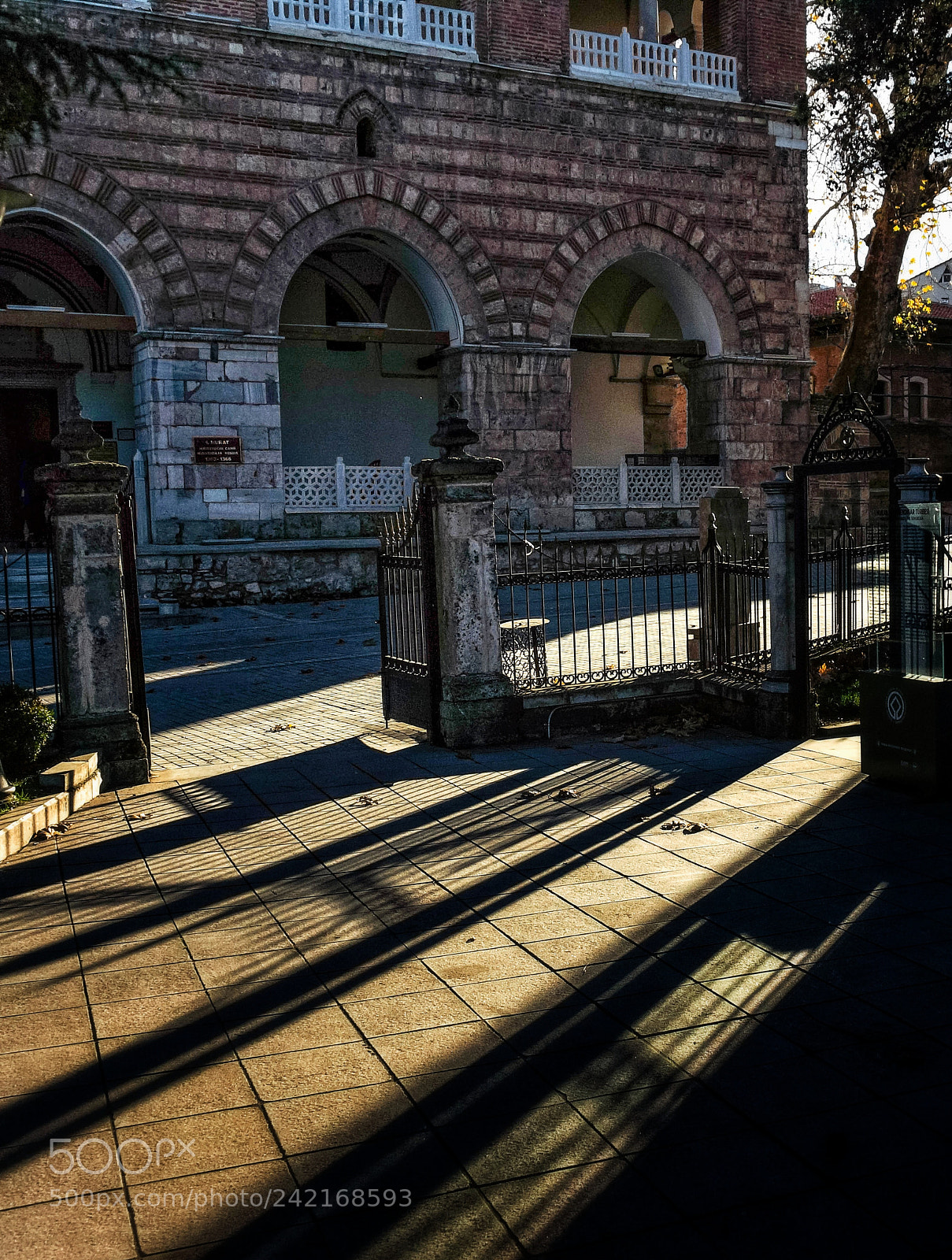 Sony SLT-A77 sample photo. **** photography