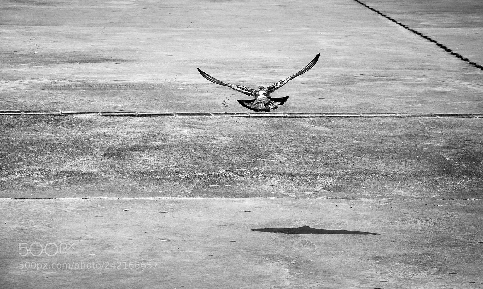 Nikon D90 sample photo. Brasília, brasil - 11/2017 photography