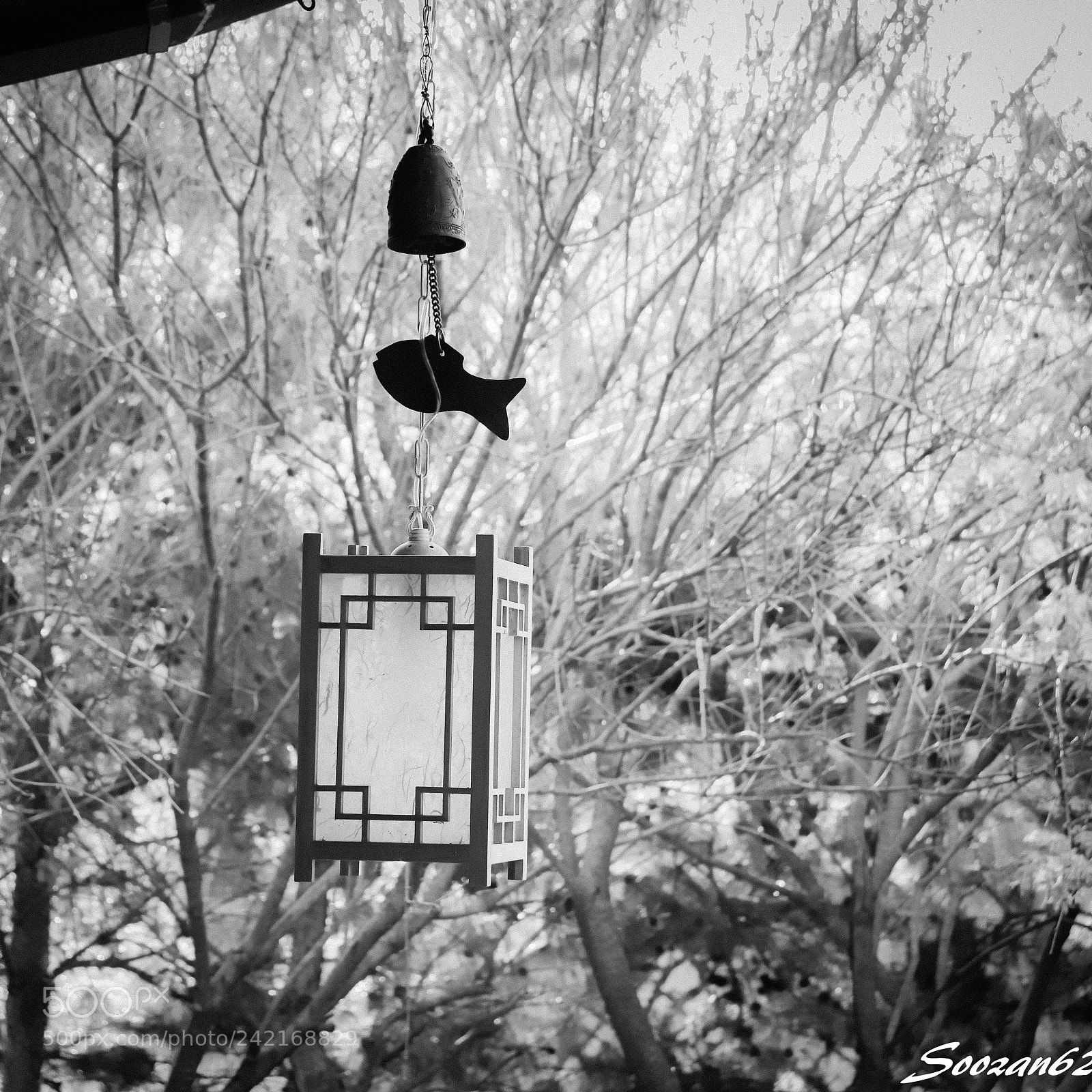 Canon EOS 200D (EOS Rebel SL2 / EOS Kiss X9) sample photo. Sound of wind chimes photography