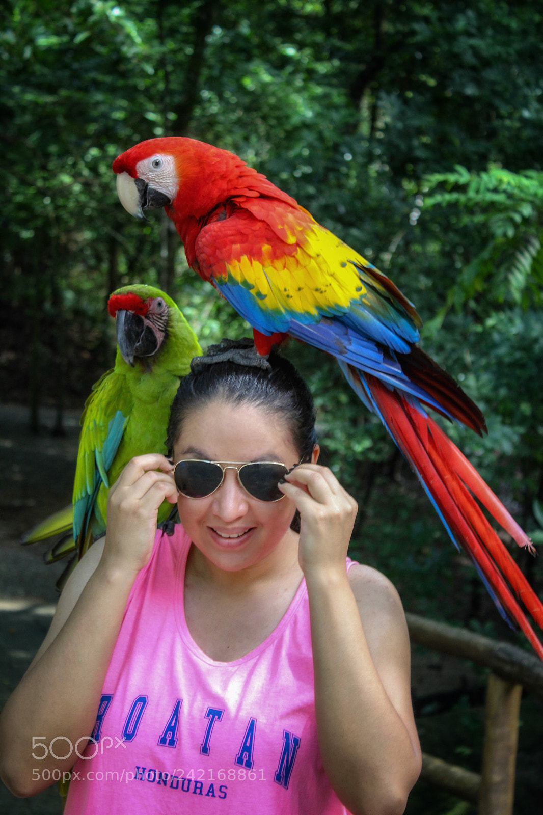 Canon EOS 1300D (EOS Rebel T6 / EOS Kiss X80) sample photo. Macaws photography