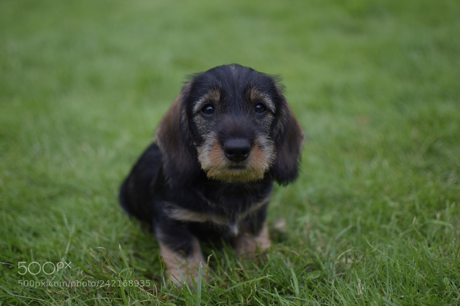 Nikon D3300 + Nikon AF-S DX Nikkor 35mm F1.8G sample photo. Are you done taking photography