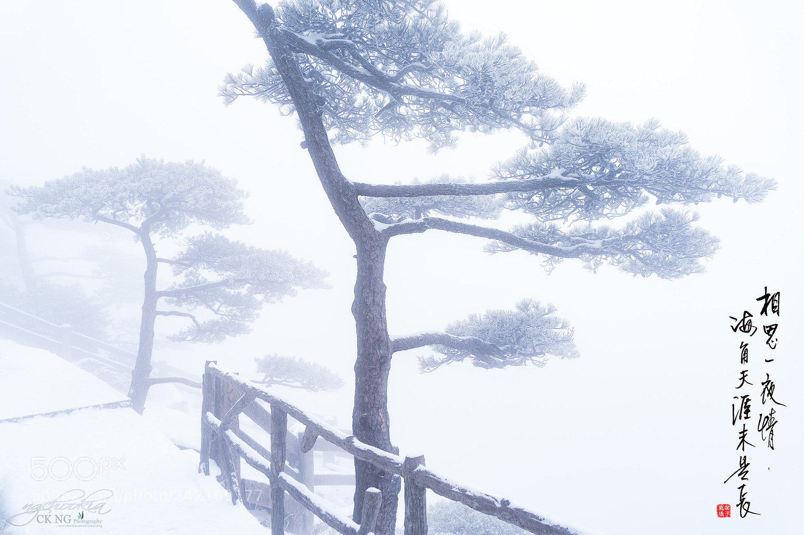 Sony a9 sample photo. 赏.feel ii 黃山 photography
