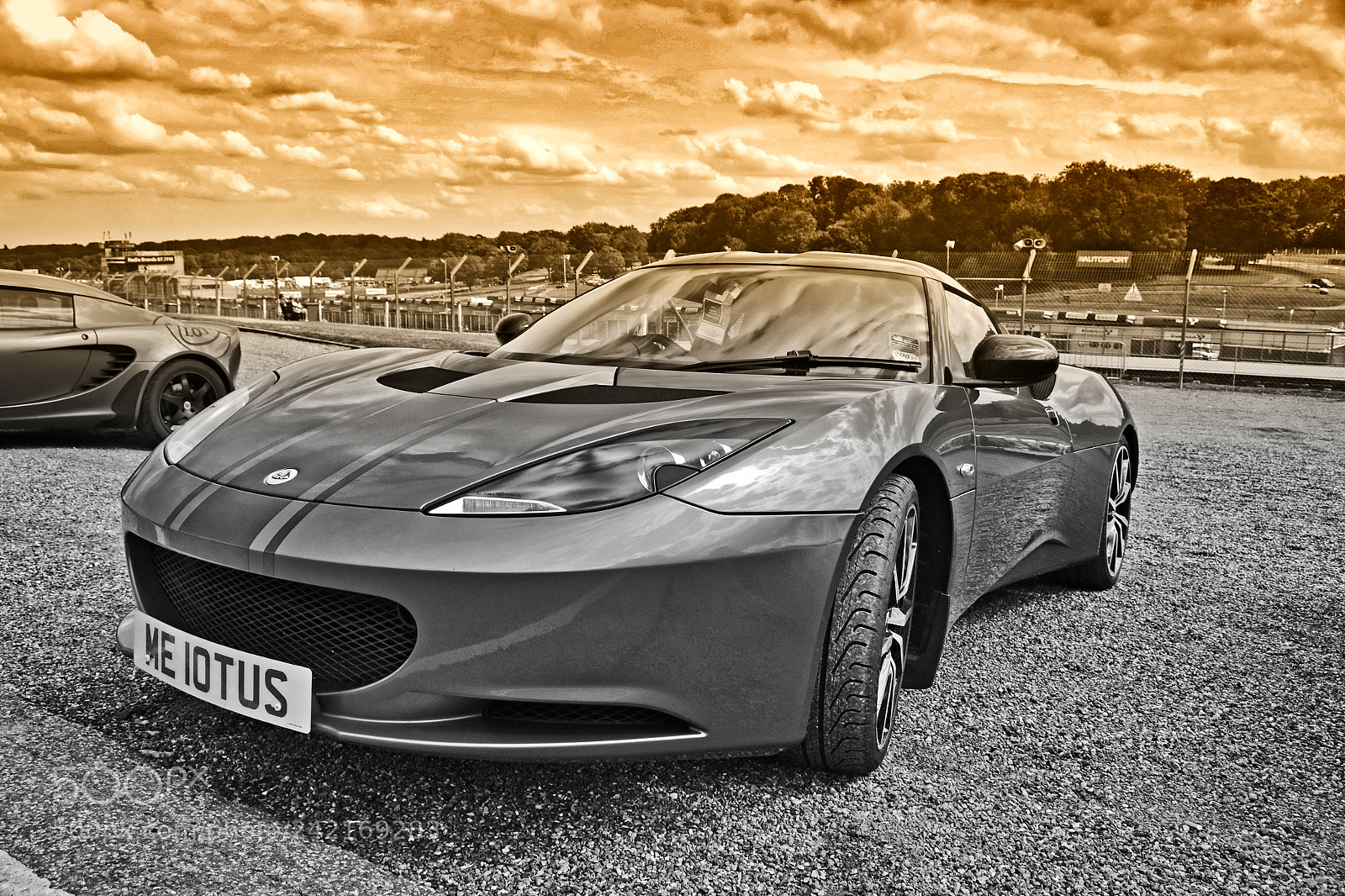 Nikon D3100 sample photo. Lotus evora photography