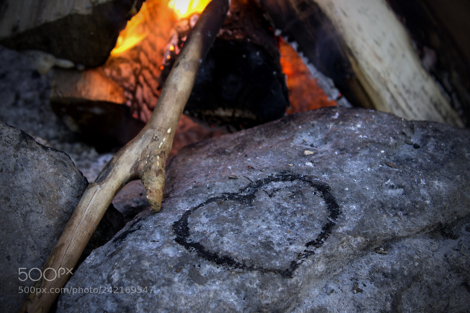 Canon EOS 1100D (EOS Rebel T3 / EOS Kiss X50) sample photo. Warm heart photography