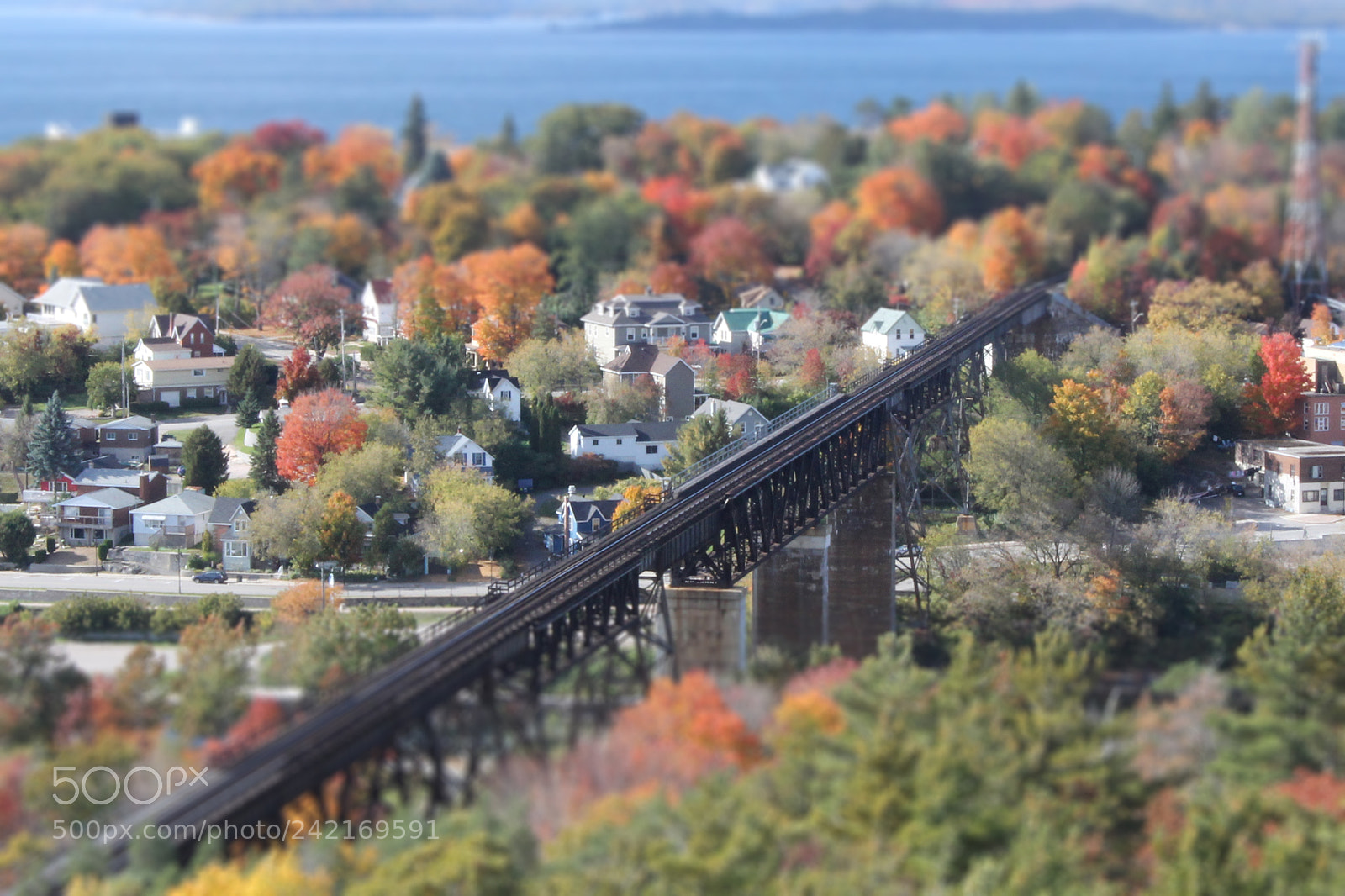 Canon EOS 1100D (EOS Rebel T3 / EOS Kiss X50) sample photo. Miniature parry sound photography