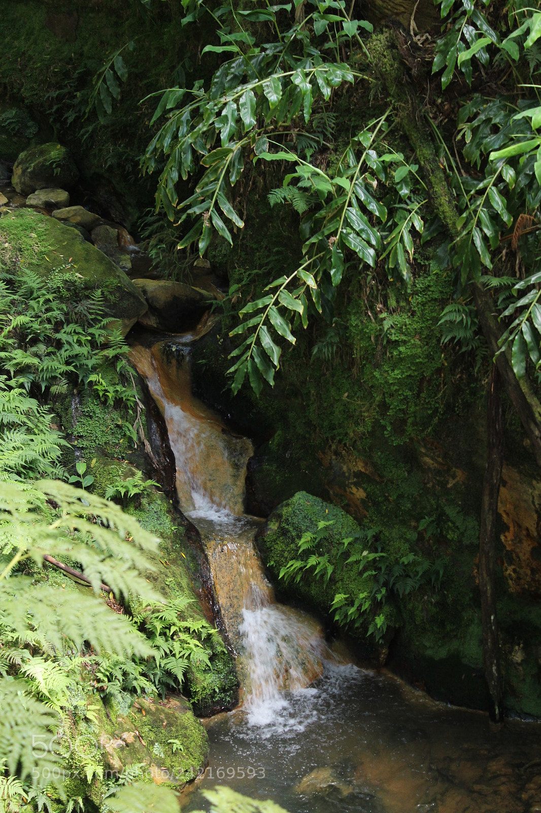 Canon EOS 1300D (EOS Rebel T6 / EOS Kiss X80) sample photo. Natureza nos azores photography