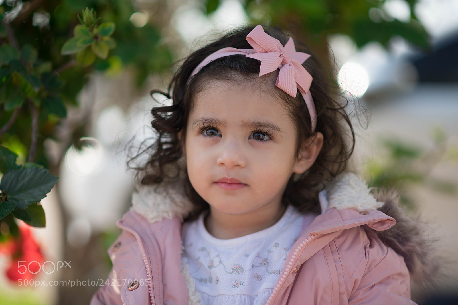 Nikon D850 sample photo. D850 photography