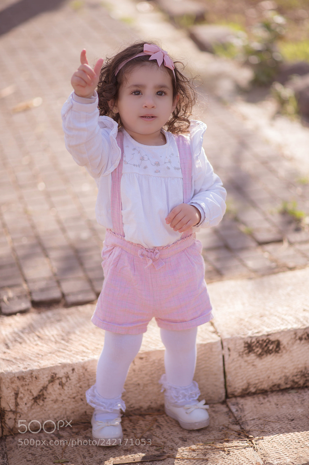 Nikon D850 sample photo. D850 photography