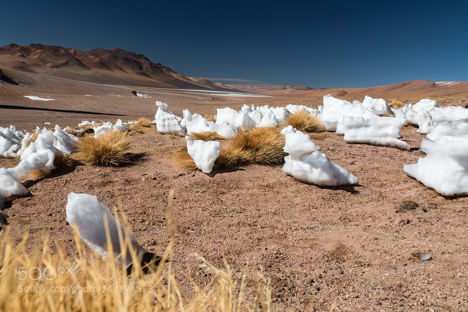 Olympus OM-D E-M5 II sample photo. Andes snow melt photography