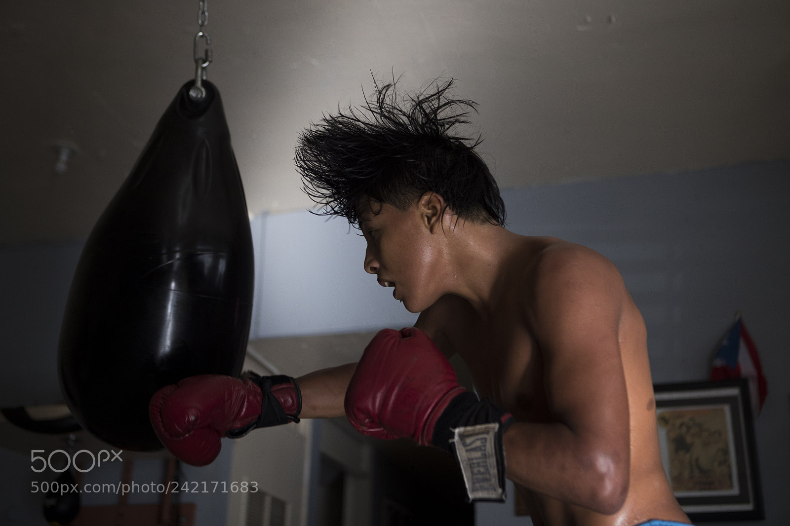 Canon EOS-1D X Mark II sample photo. Puerto rico, 2017 photography