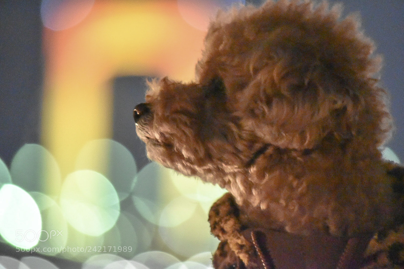 Nikon D5500 sample photo. Untitled photography