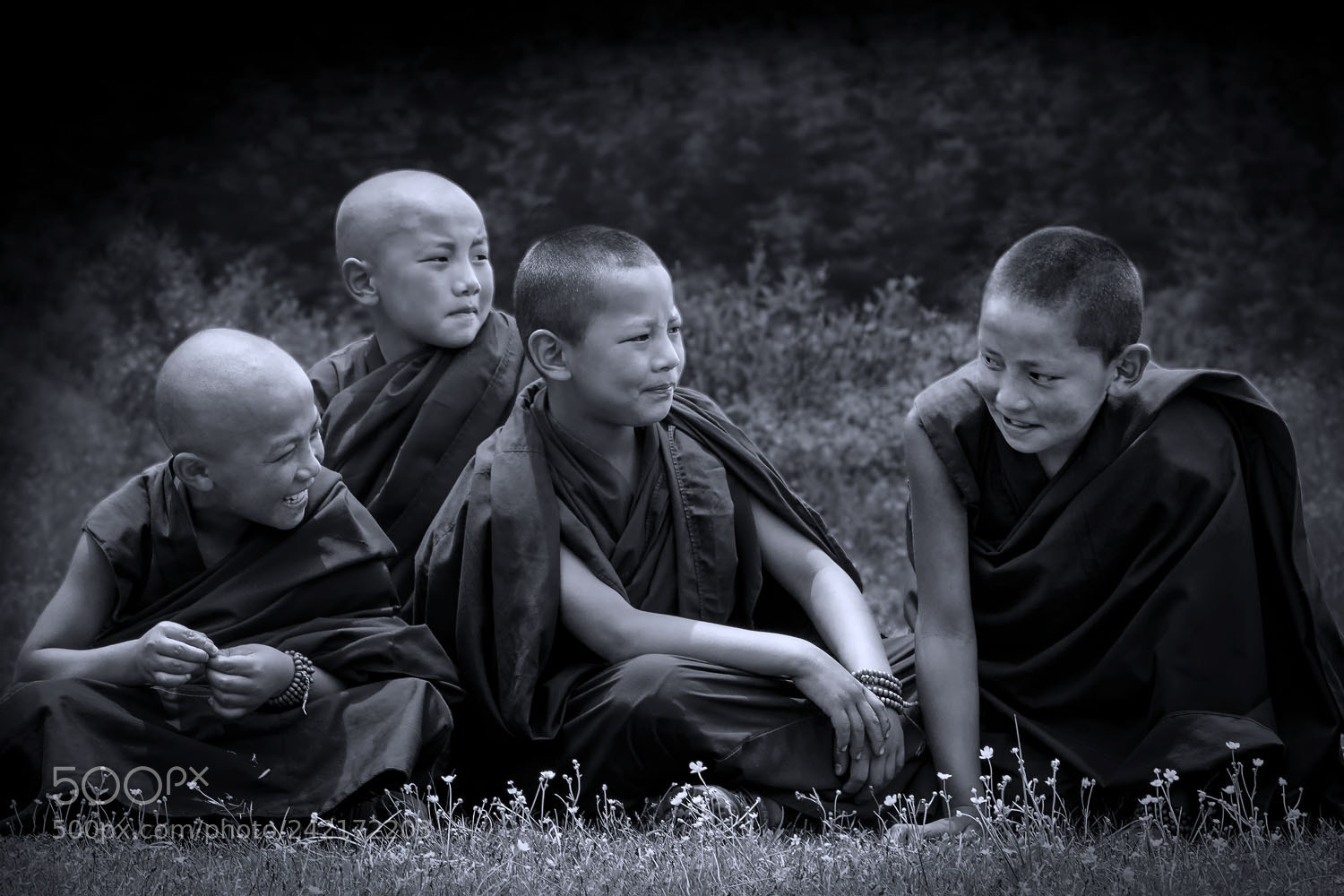 Canon EOS 7D Mark II sample photo. Four little lamas photography