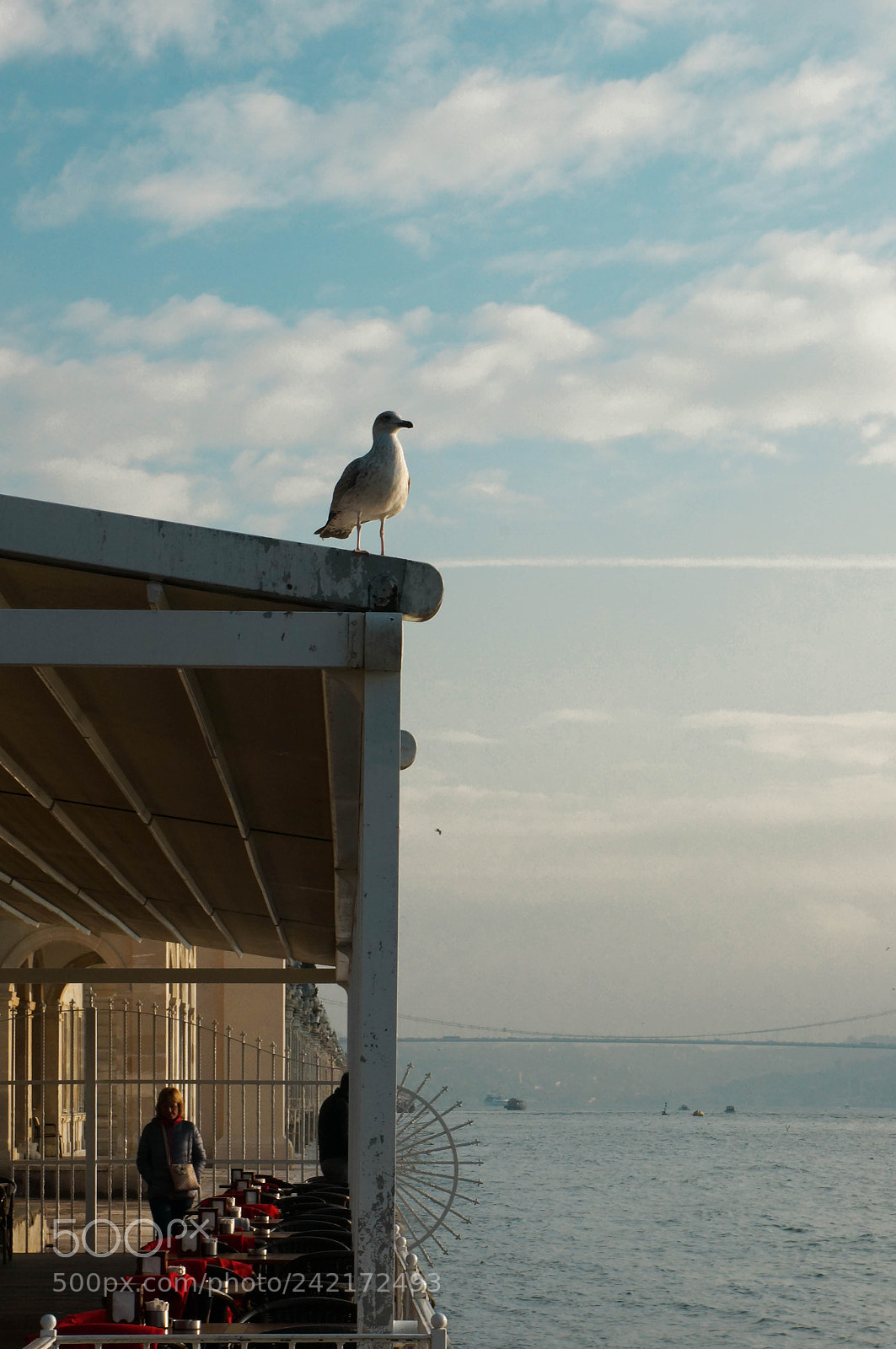 Sony Alpha NEX-5R sample photo. Ready for new day photography