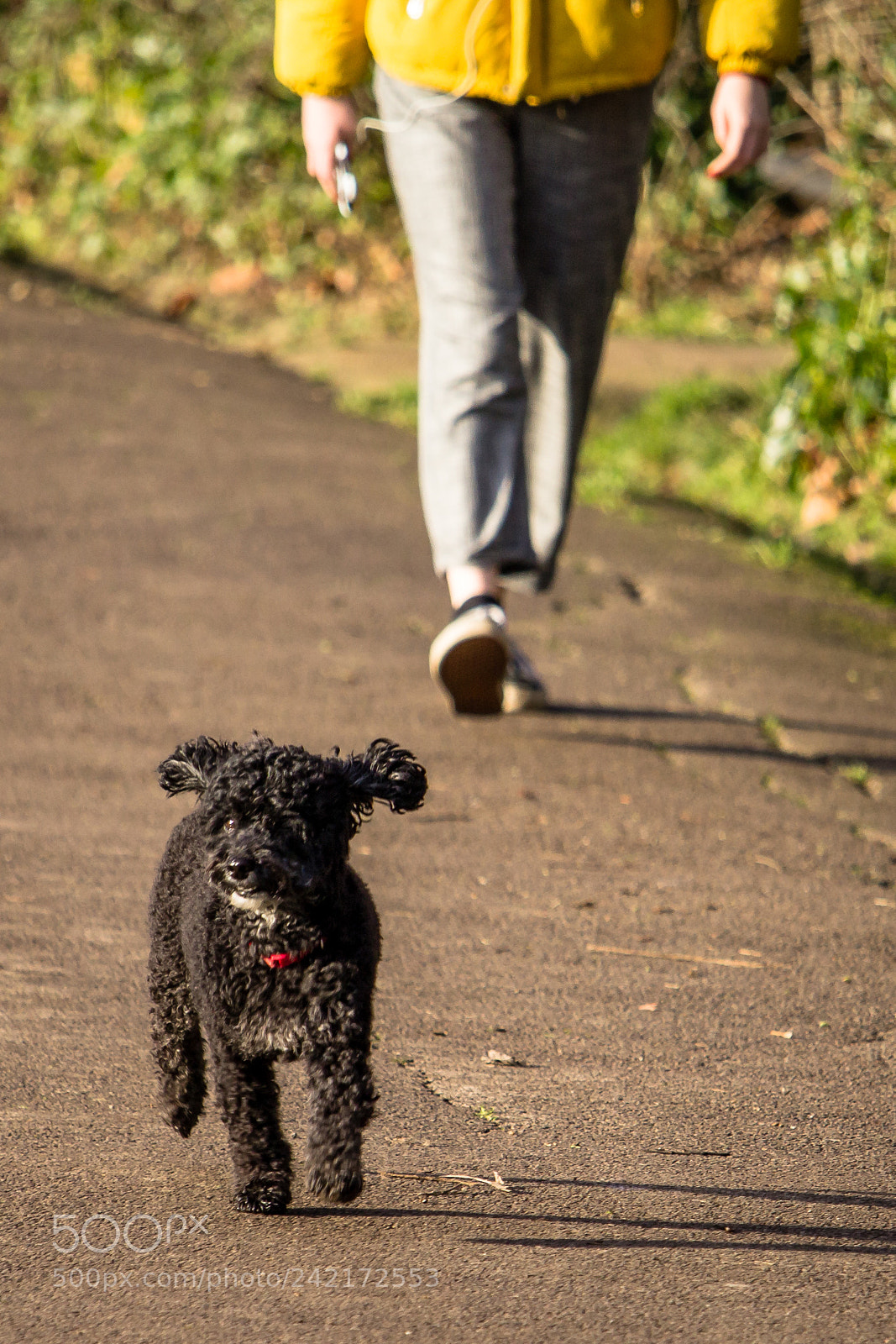 Canon EOS 1200D (EOS Rebel T5 / EOS Kiss X70 / EOS Hi) sample photo. I heart walkies photography