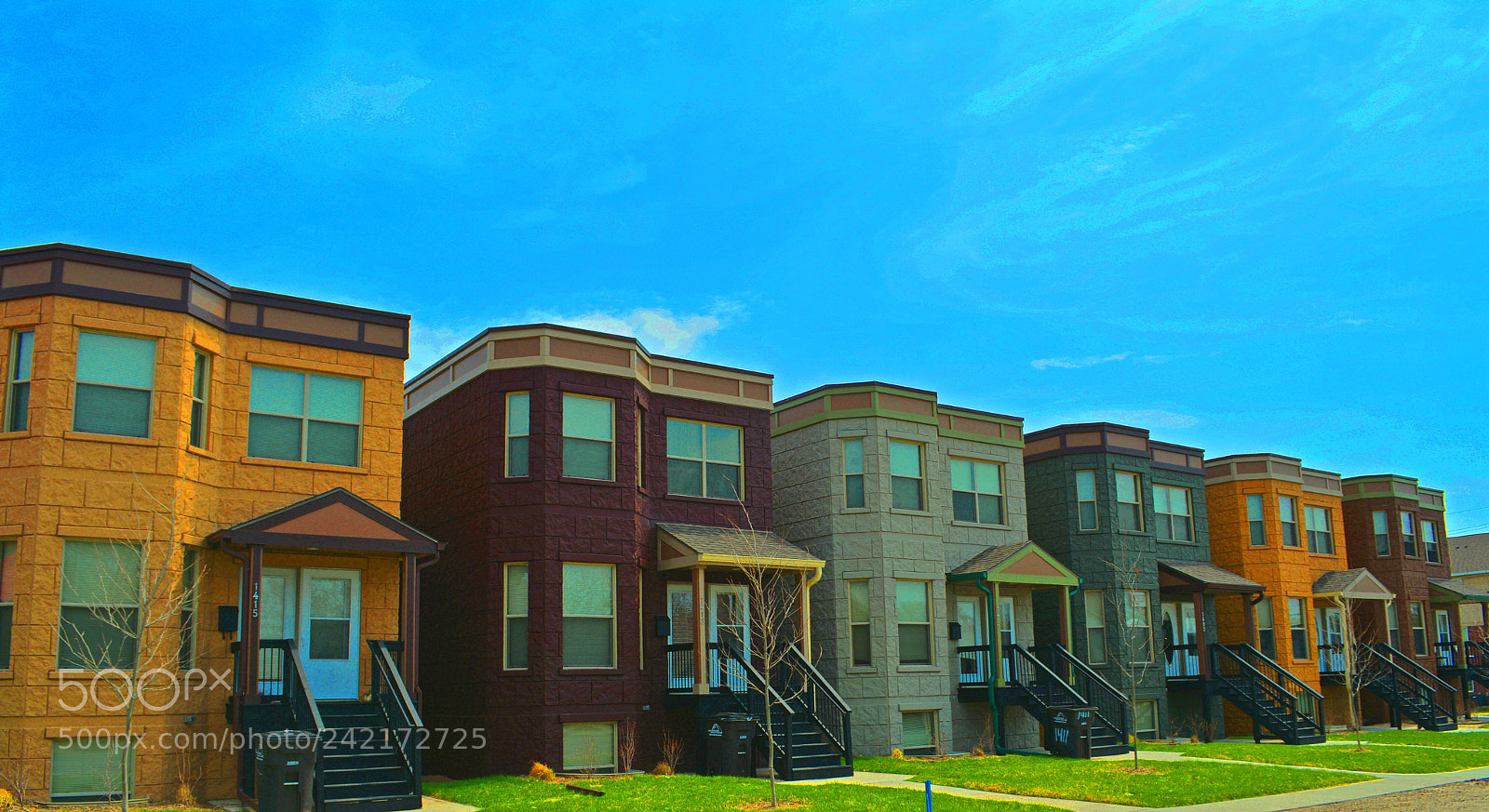 Nikon D7100 sample photo. Friendly neighborhood photography