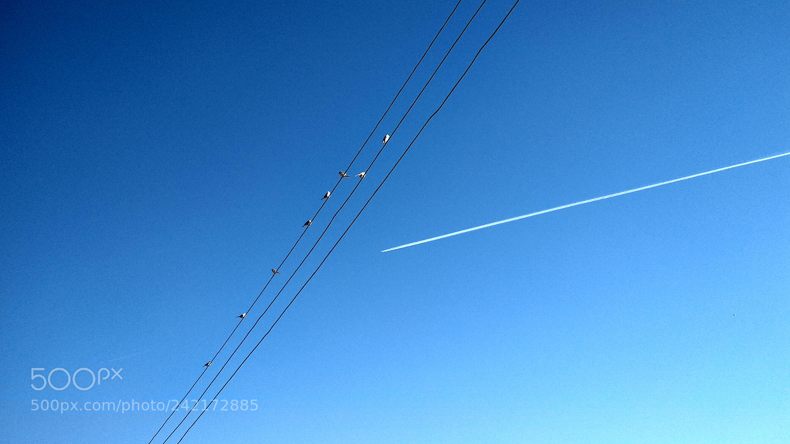 Xiaomi Redmi 4X sample photo. Blue sky photography