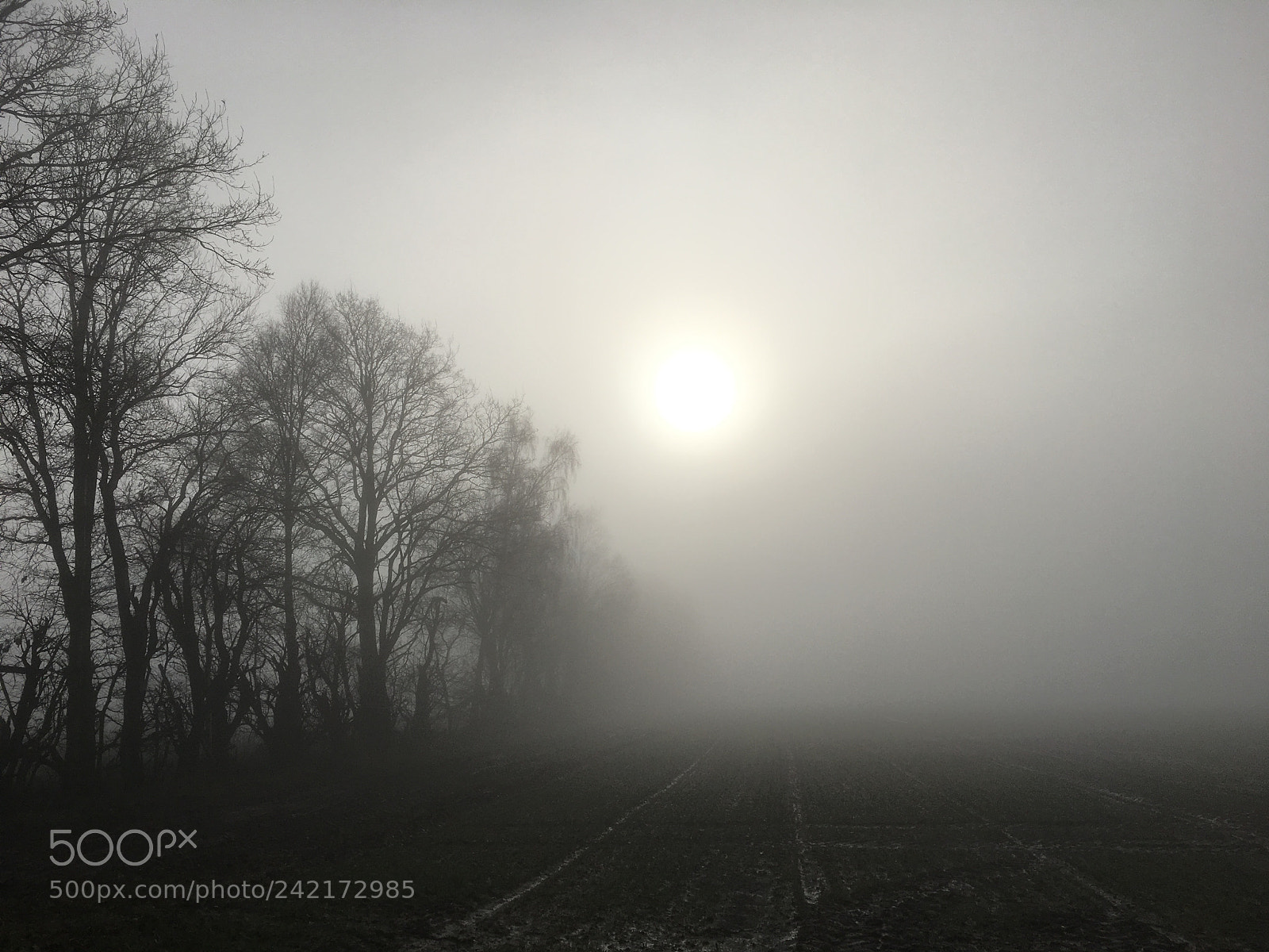 Apple iPhone 6s sample photo. Morning photography