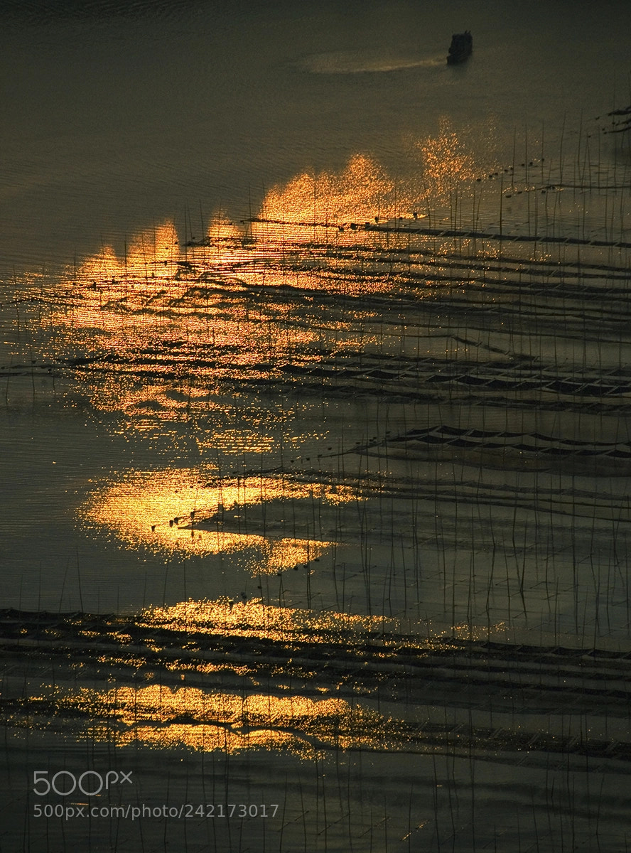 Nikon D200 sample photo. 霞浦晨曦（一半火焰一半海水） photography