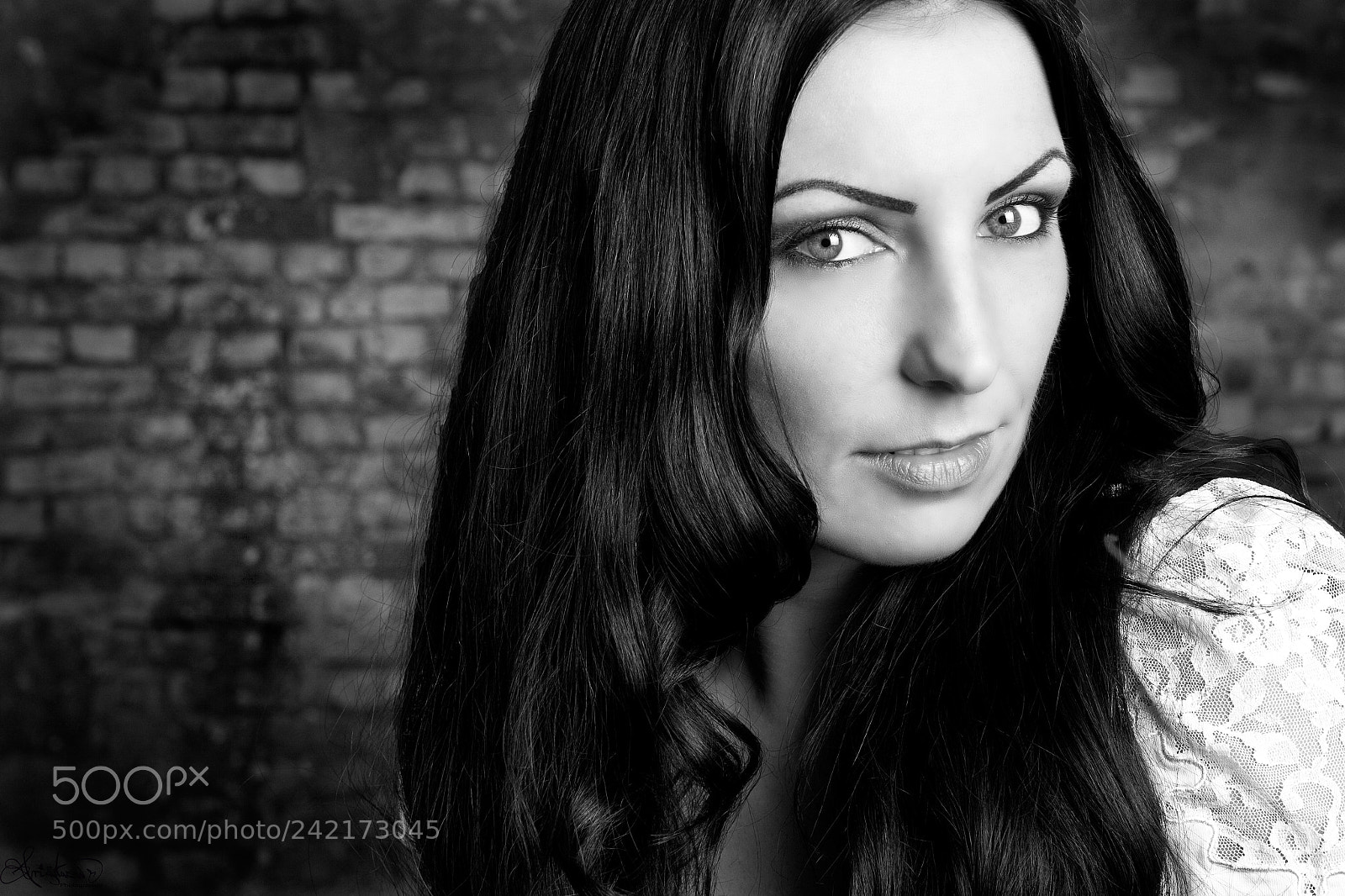 Canon EOS 50D sample photo. Black beauty photography