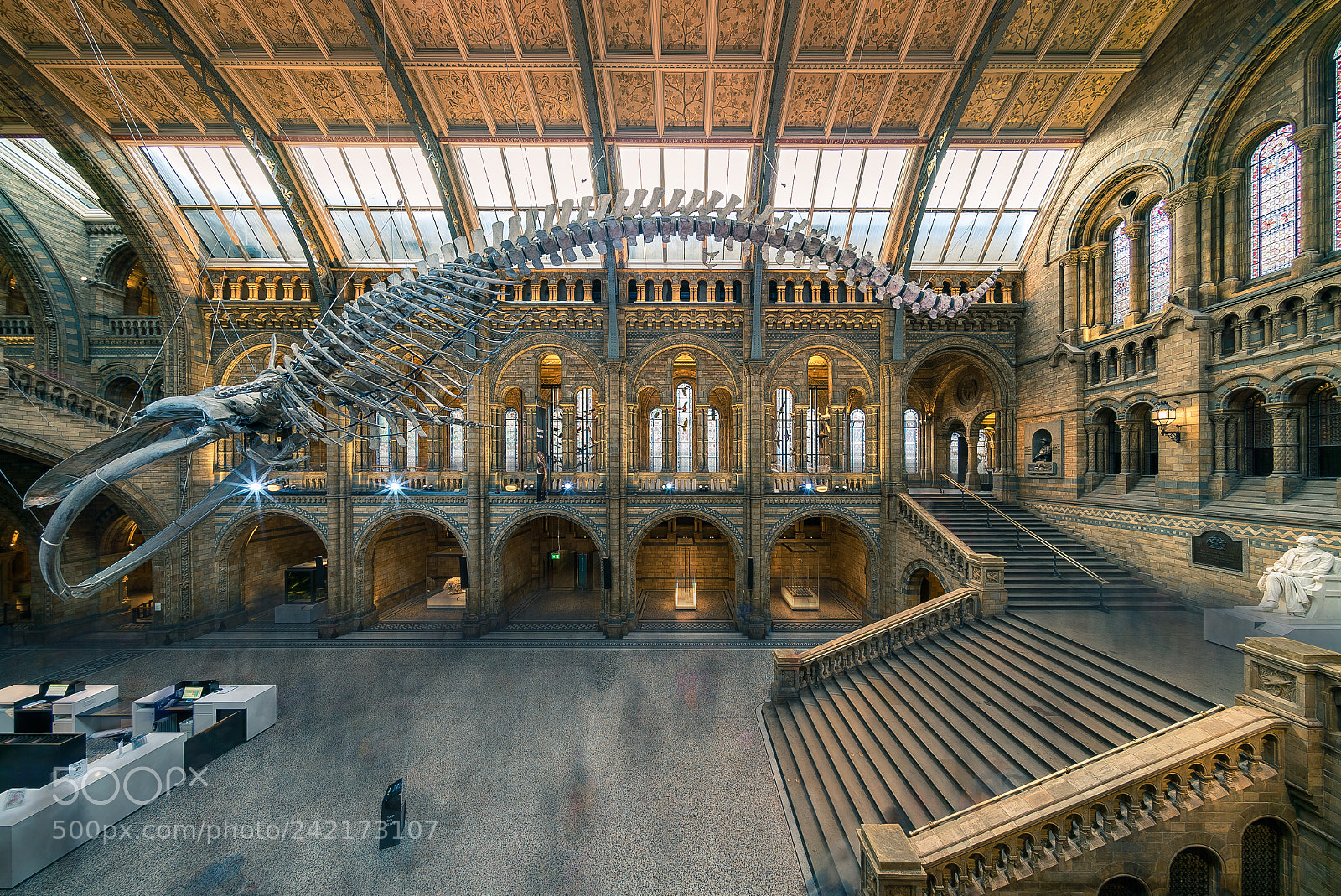 Sony a7S sample photo. Blue whale skeleton photography