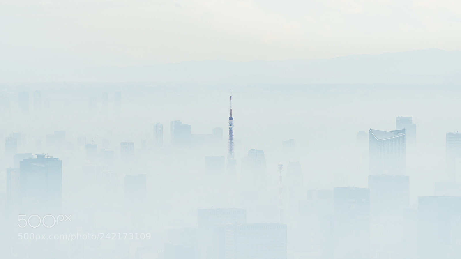 Nikon D810 sample photo. Fantastic tokyo photography
