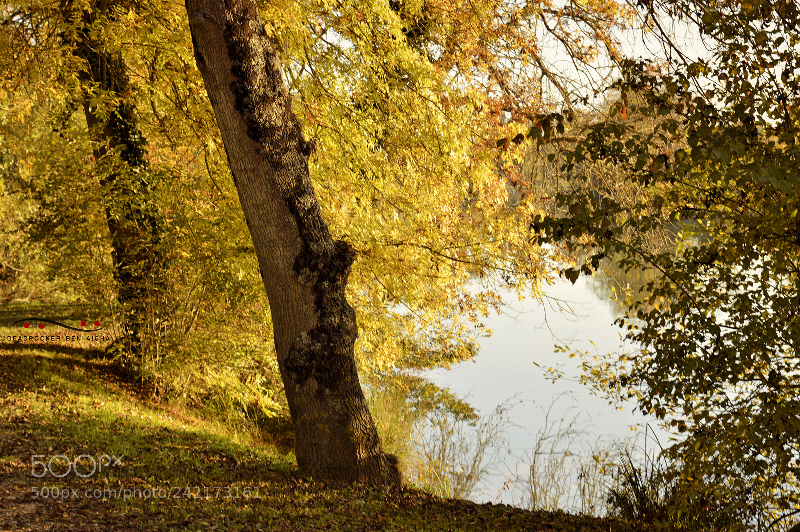 Nikon D3200 sample photo. French fall photography
