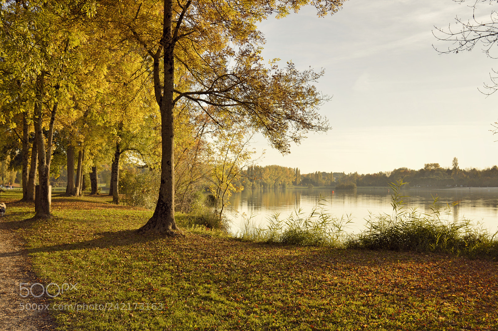 Nikon D3200 sample photo. French fall photography