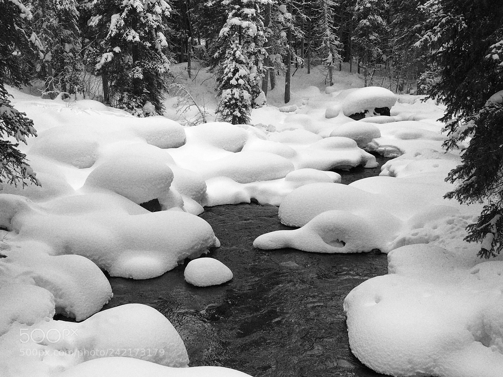 Apple iPhone 6s sample photo. Teton creek, bear canyon photography
