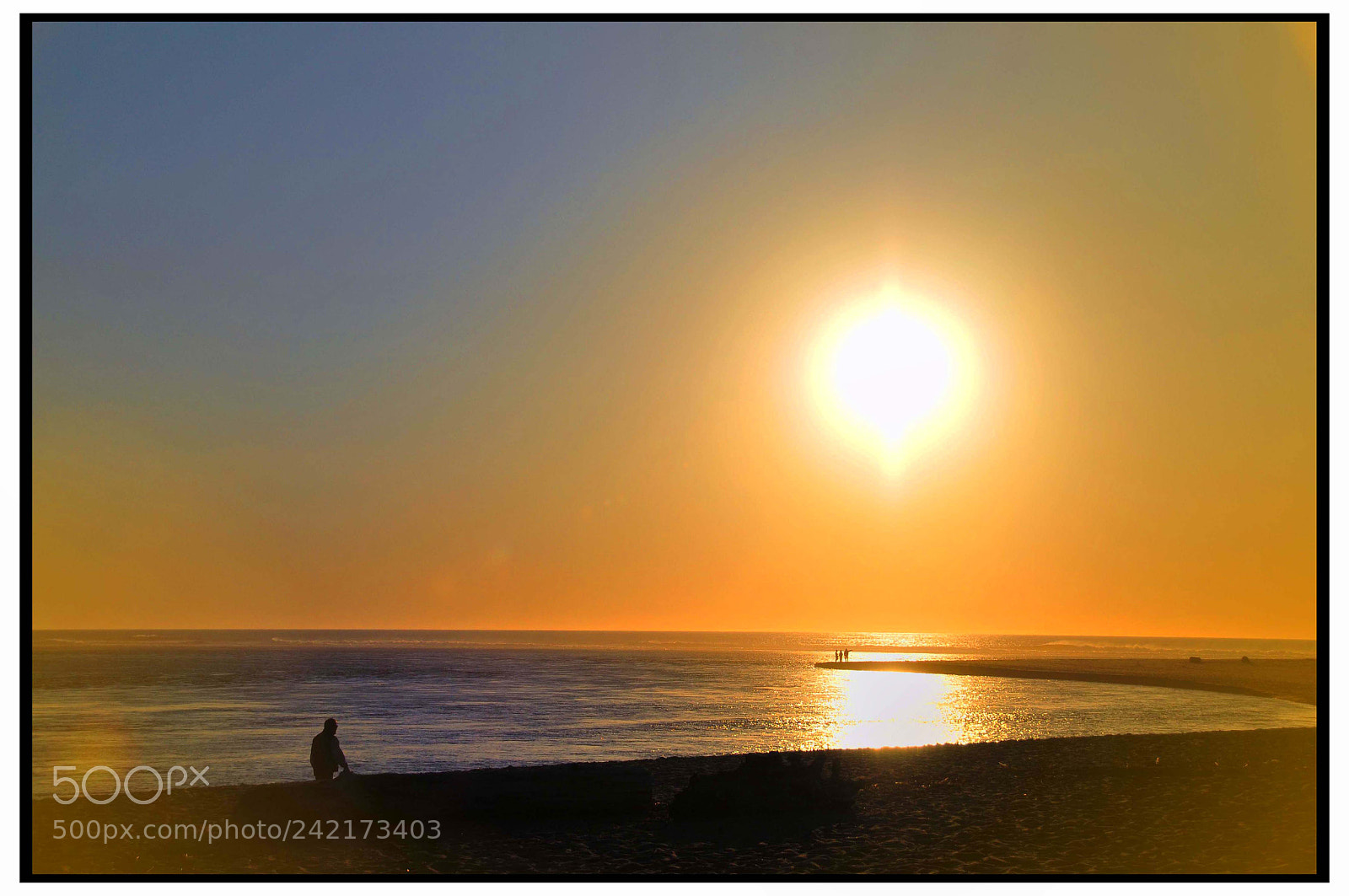 Nikon D300 sample photo. Oregon coast photography