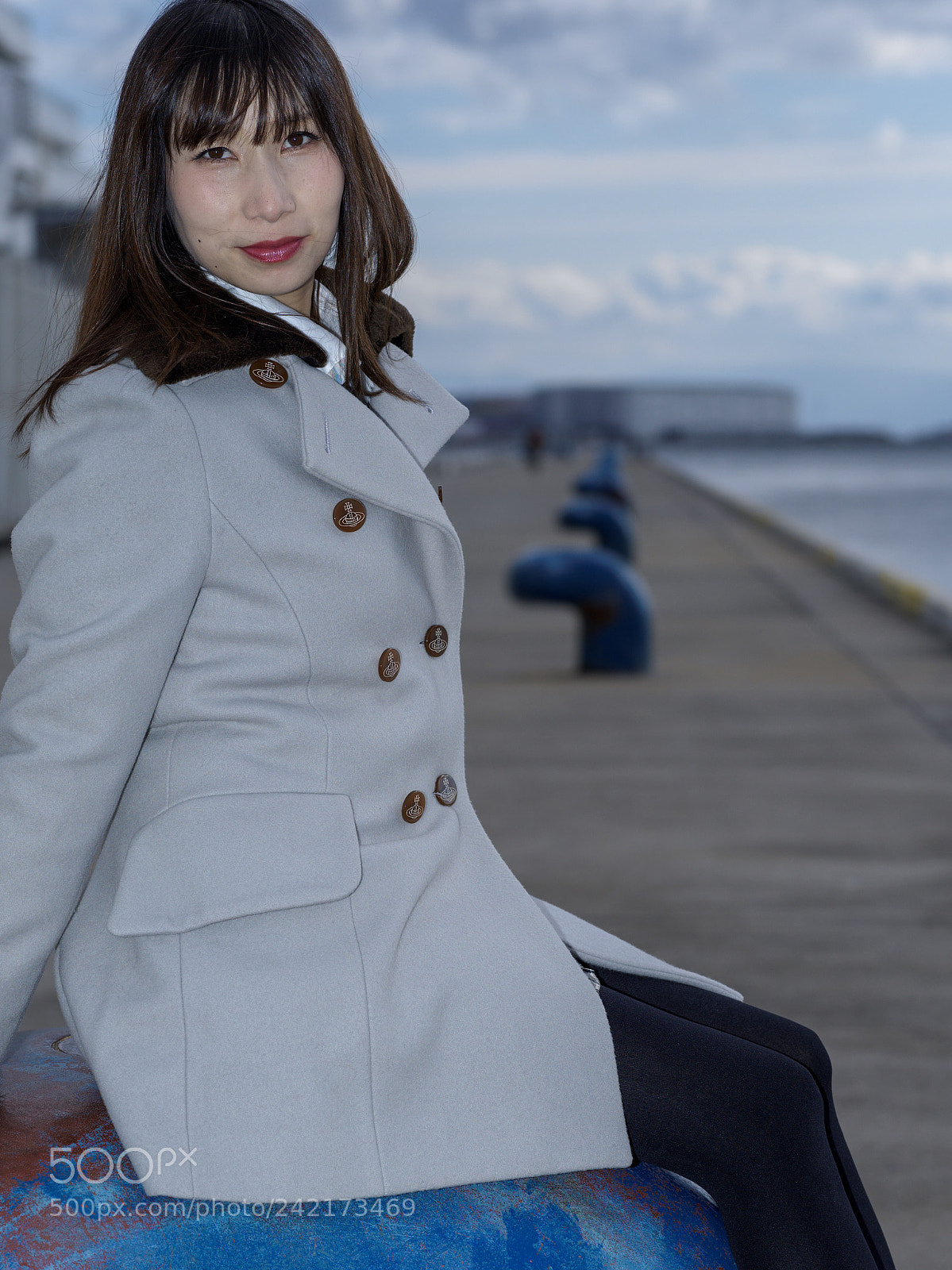 Hasselblad X1D-50c sample photo. Bollard photography