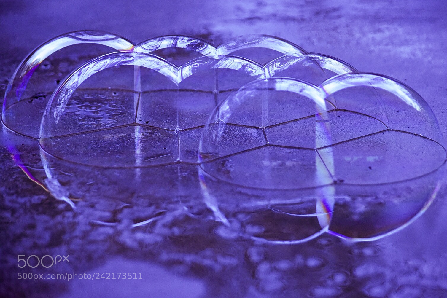 Nikon D7200 sample photo. Bubbles on wet concrete photography