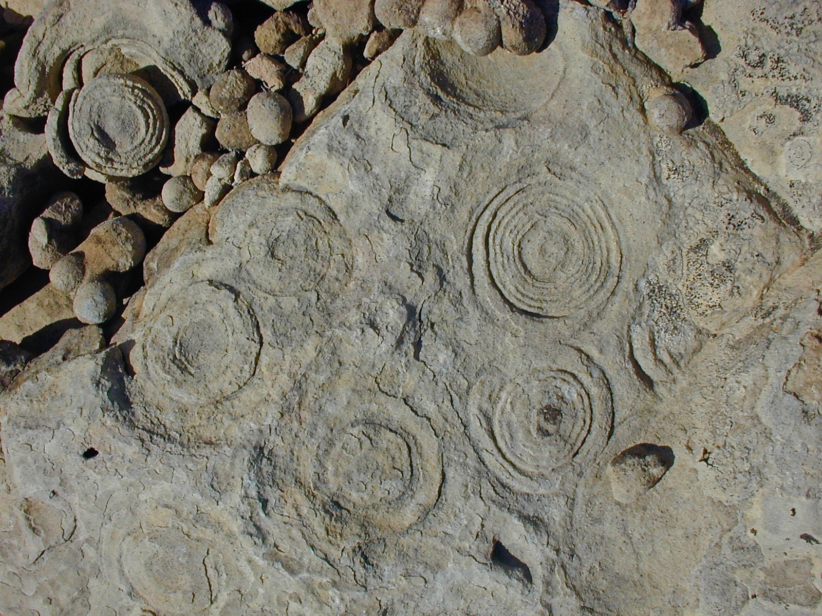 Nikon E800 sample photo. Sandstone concretions photography