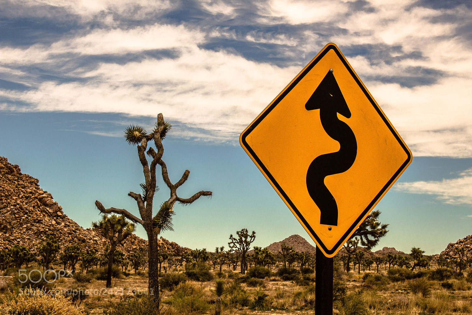 Canon EOS 1200D (EOS Rebel T5 / EOS Kiss X70 / EOS Hi) sample photo. Joshua tree national park photography