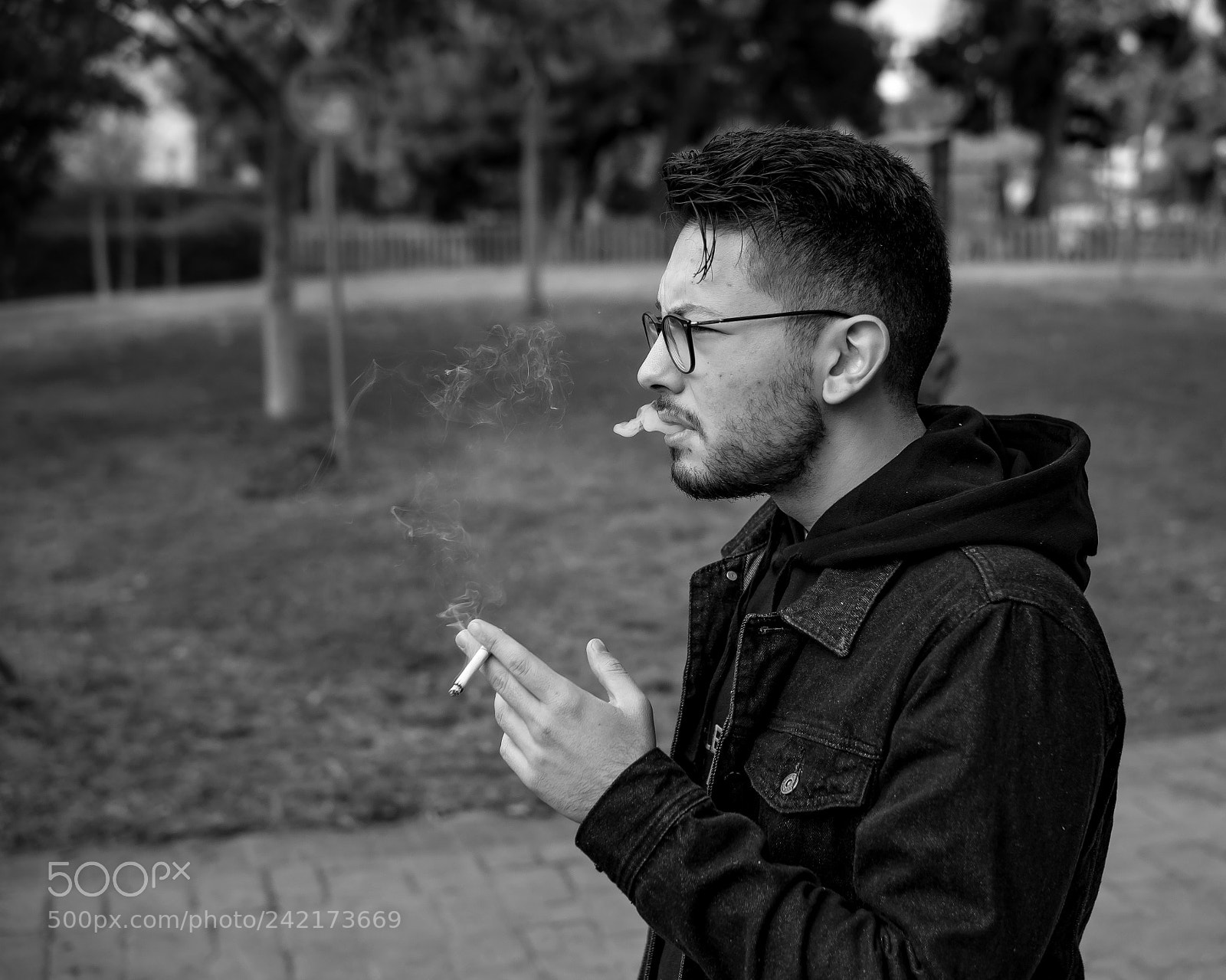 Sony Alpha a5000 (ILCE 5000) sample photo. Untitled photography