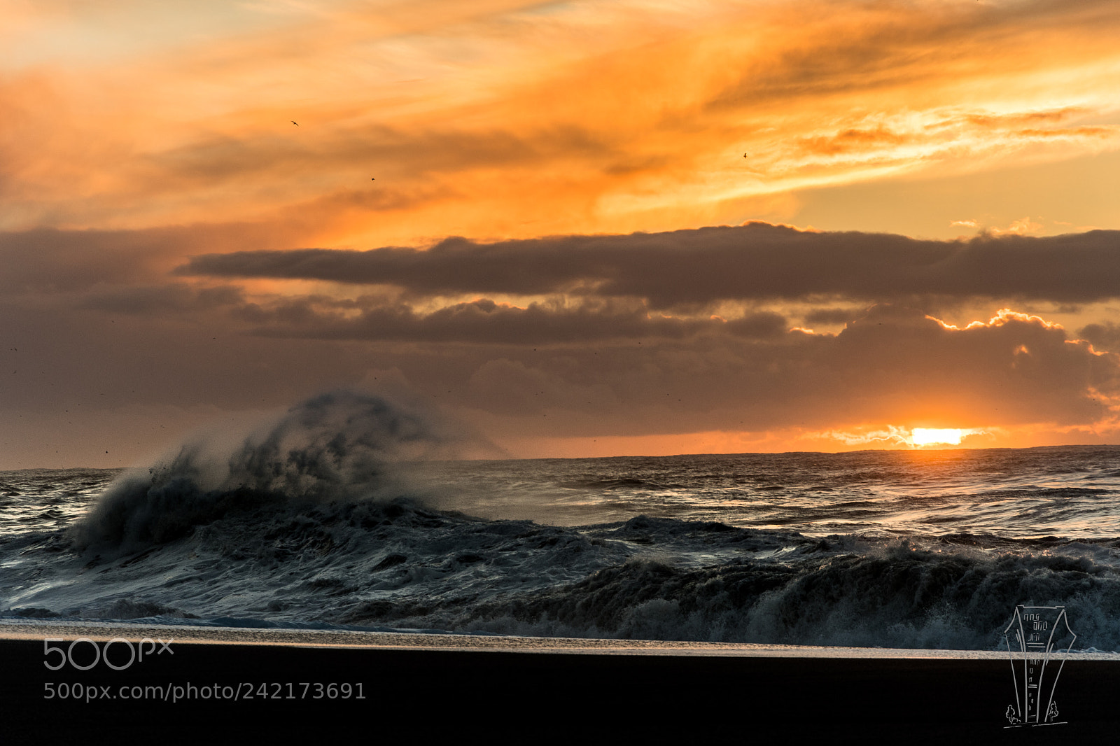 Nikon D500 sample photo. Sunrise on a windy photography