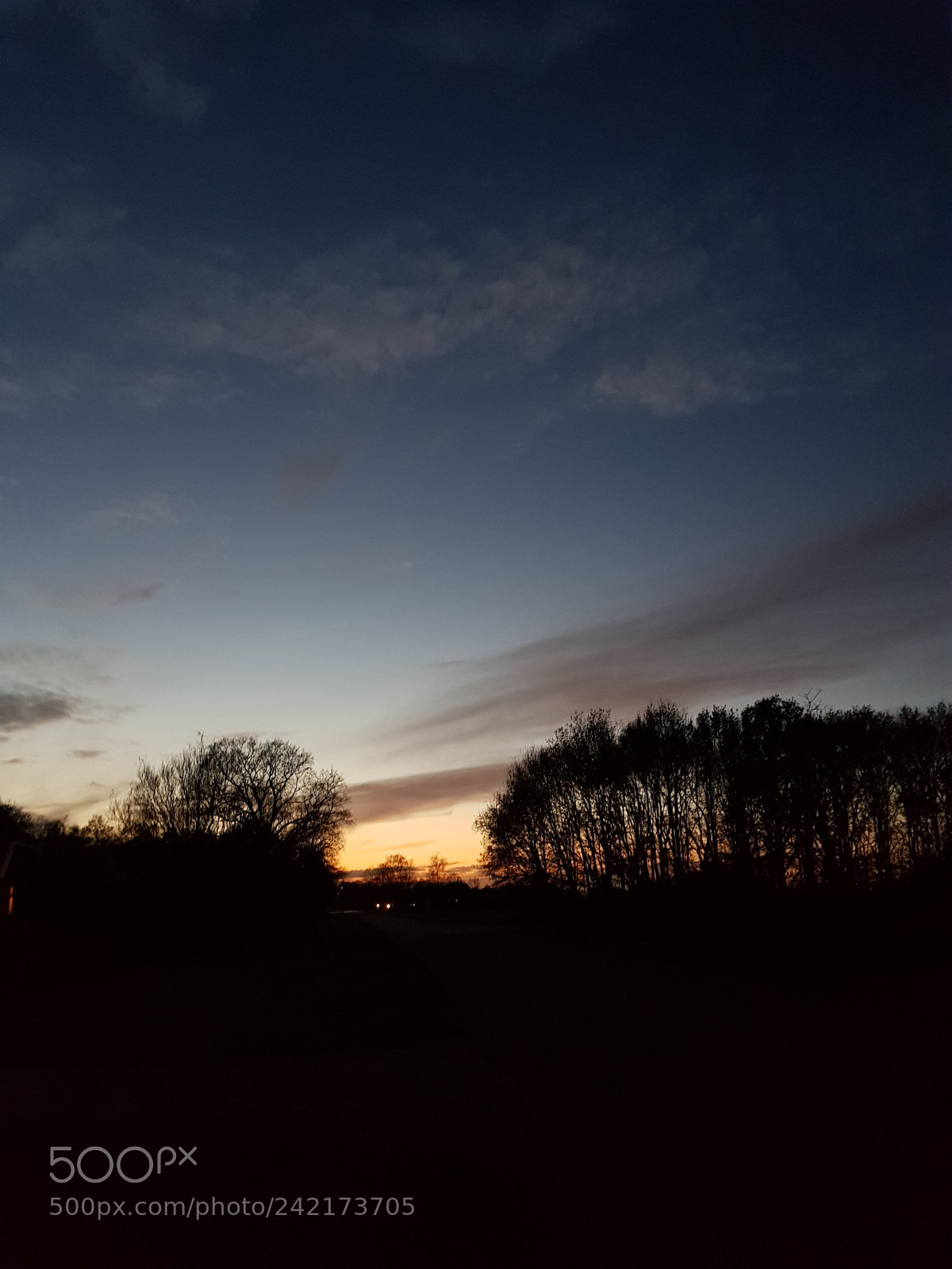 Samsung Galaxy S8 sample photo. Goodnight photography