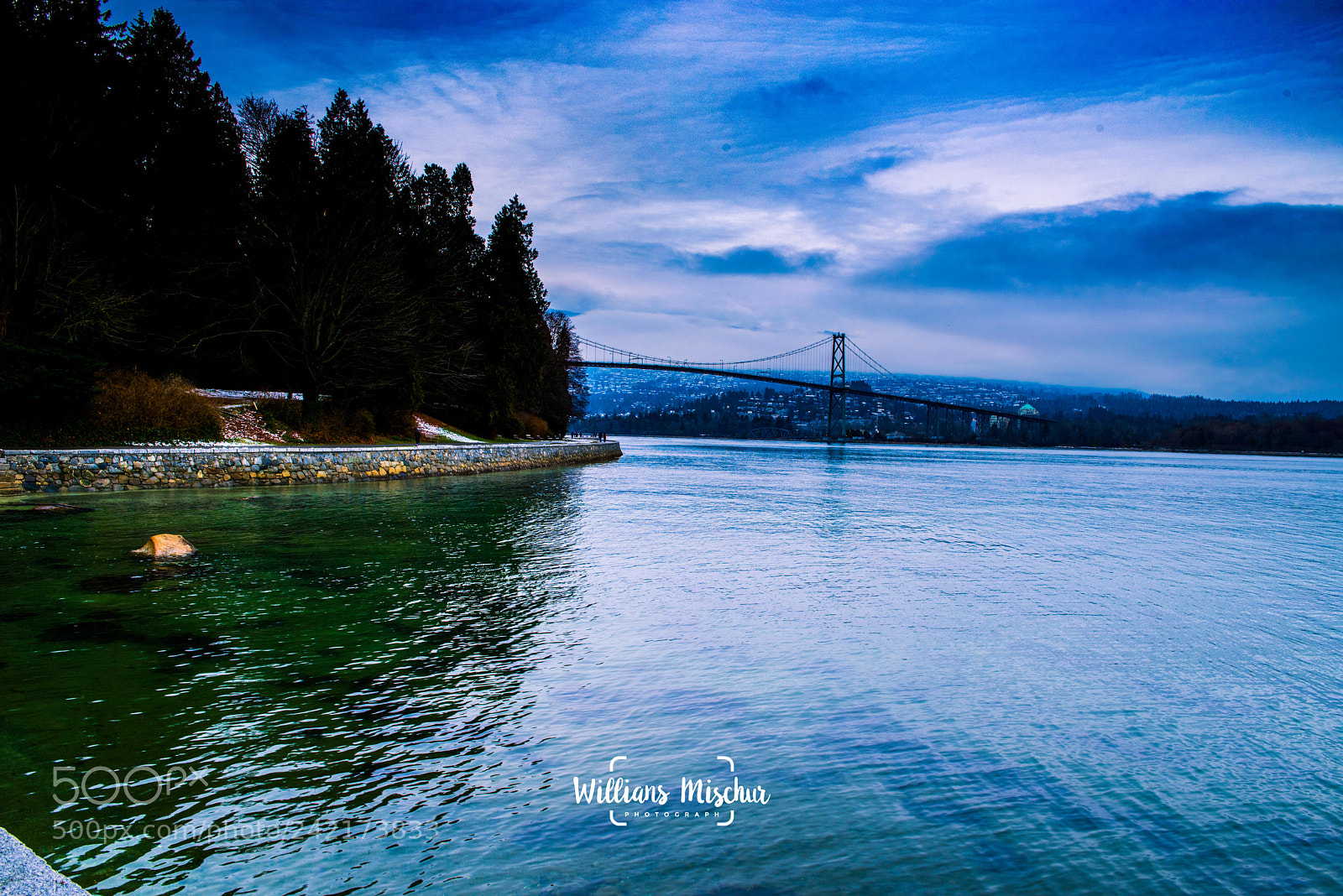 Nikon D810 sample photo. Stanley park photography
