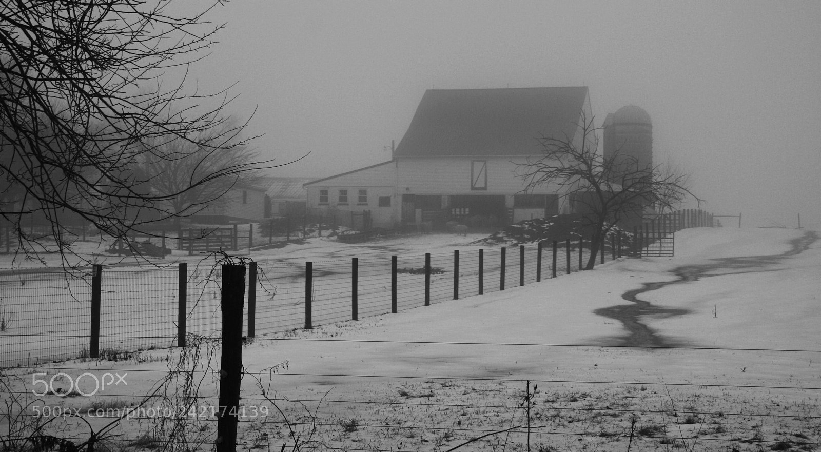 Canon EOS 400D (EOS Digital Rebel XTi / EOS Kiss Digital X) sample photo. Foggy farm photography