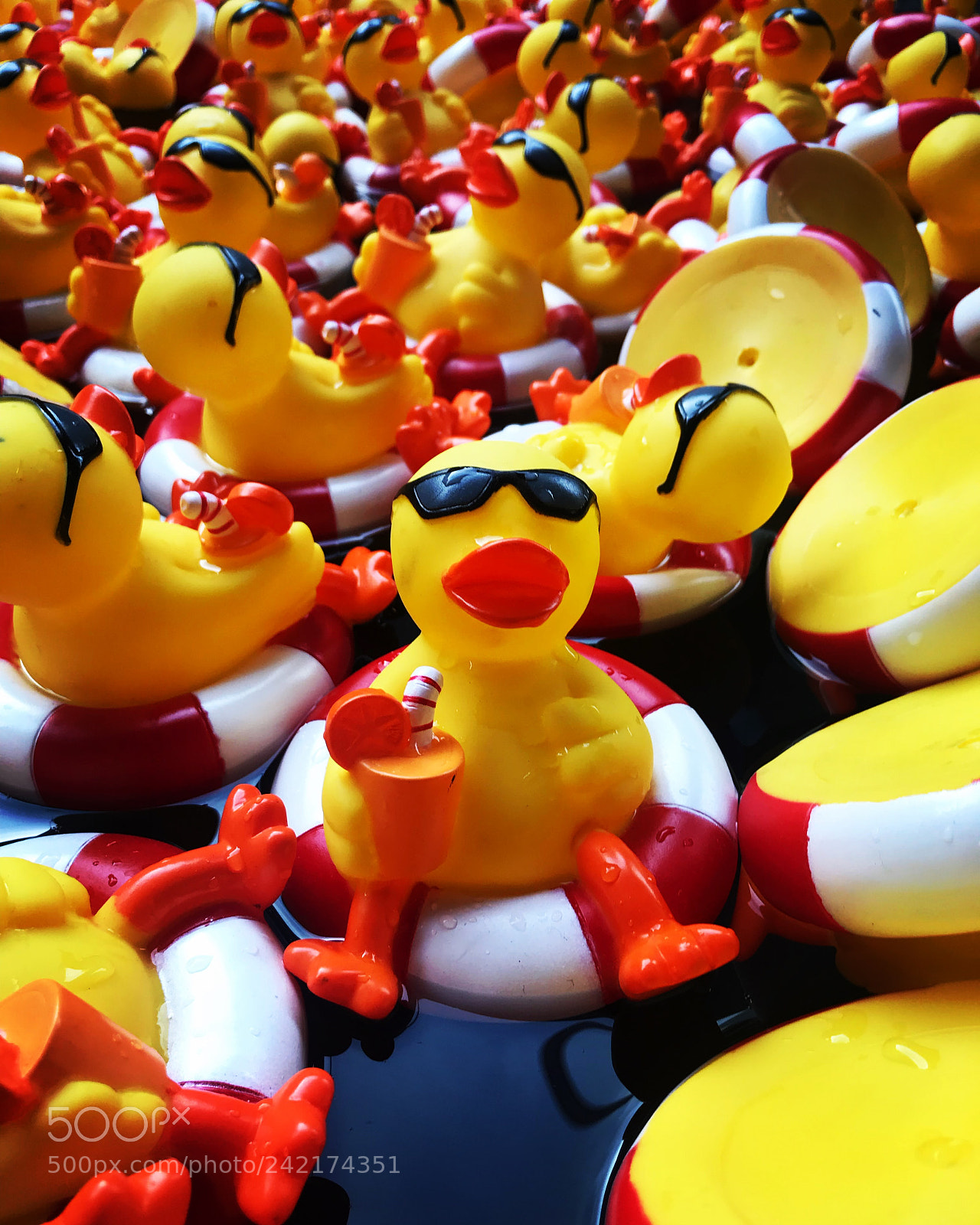 Apple iPhone 7 sample photo. The yellow ducks. photography