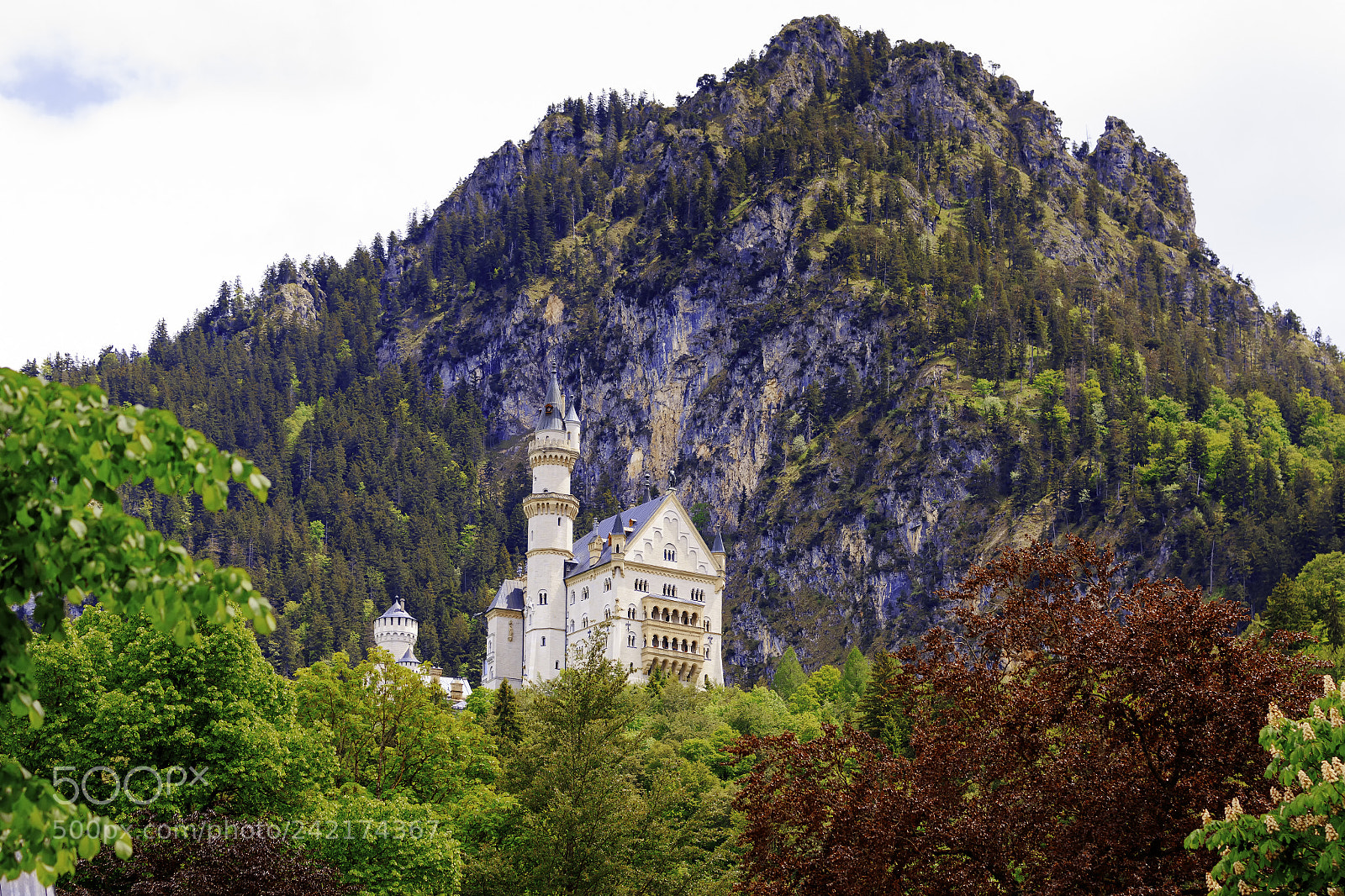 Canon EOS 7D Mark II sample photo. Neuschwanstein castle in bavarian photography