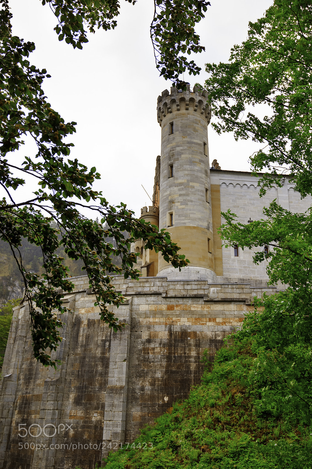Canon EOS 7D Mark II sample photo. Neuschwanstein castle in bavarian photography