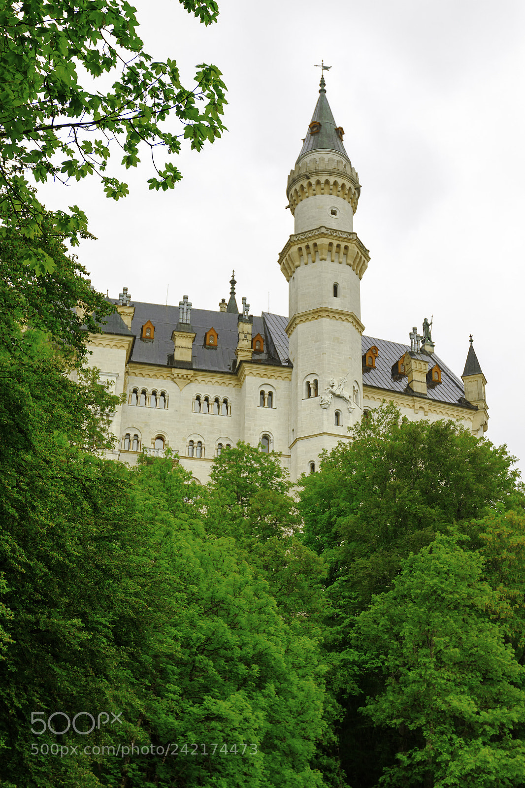 Canon EOS 7D Mark II sample photo. Neuschwanstein castle in bavarian photography