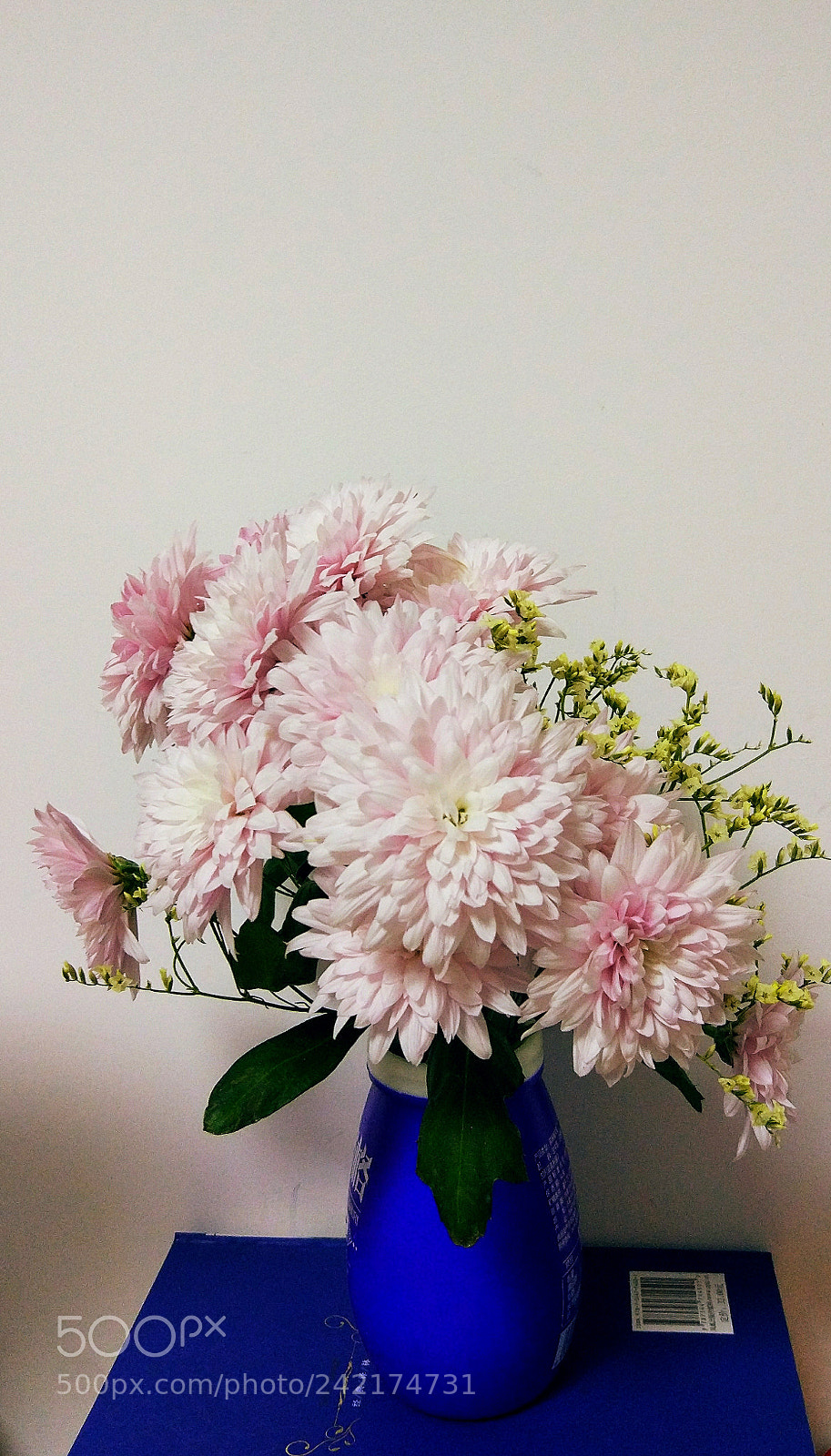 Xiaomi MI 5 sample photo. Untitled photography
