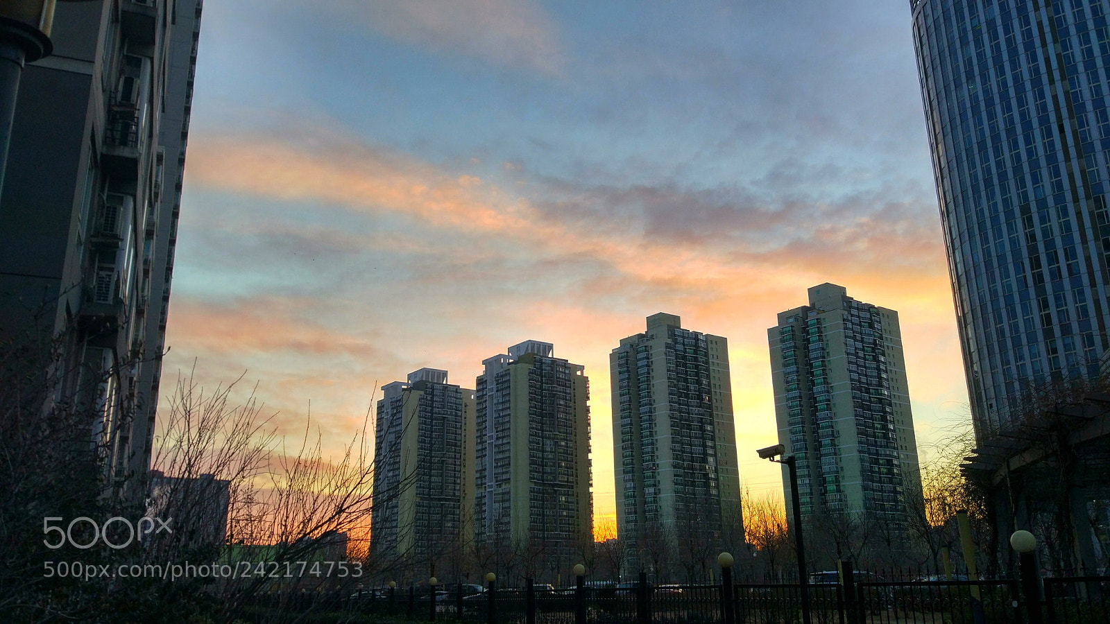 Xiaomi MI 5 sample photo. Untitled photography